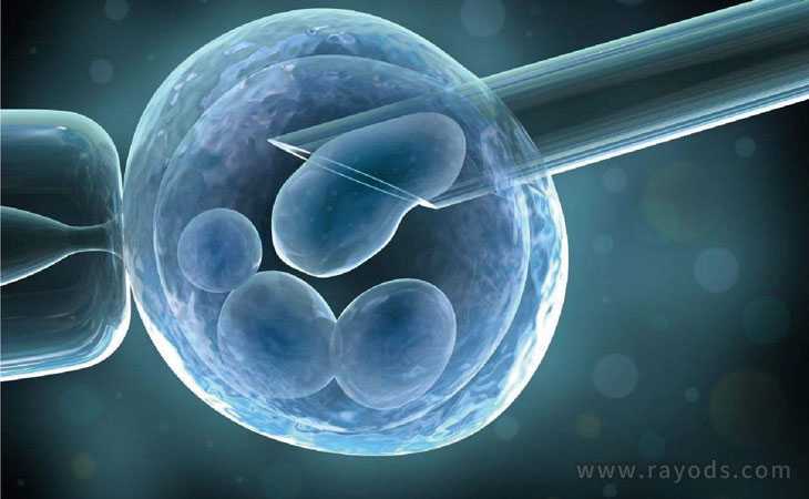 嘉鱼县代孕哪家医院最好,试管婴儿可以筛选男女吗_精子DNA完整性DFI异常与染色