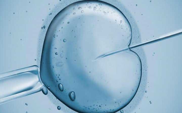 乌当区43岁供卵的成功率有多大_乌当区49岁做供卵试管成功率_试管婴儿微刺激促