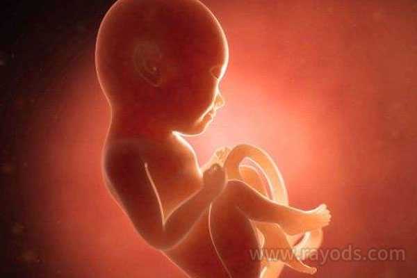 米林县50岁供卵移植成功率_提高南宁三代试管婴儿胚胎成功率该怎么做？