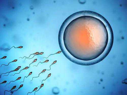 阿瓦提县36岁供卵成功率有多少_精子成活率低还可以做福州助孕试管婴儿吗？成