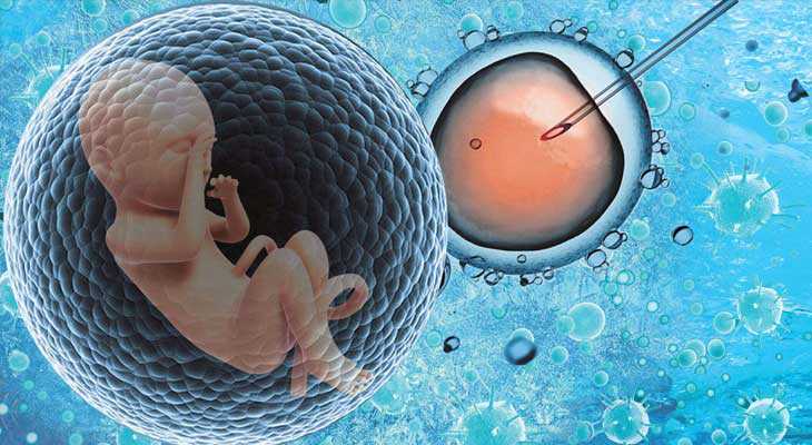 拉萨哪里可做代妈助孕_乌克兰IVMED瑞德医院试管胚胎实验室