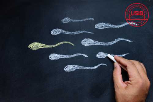 大观区53岁供卵移植囊胚的成功率_大观区卵巢性不孕常识_试管婴儿胚胎移植后