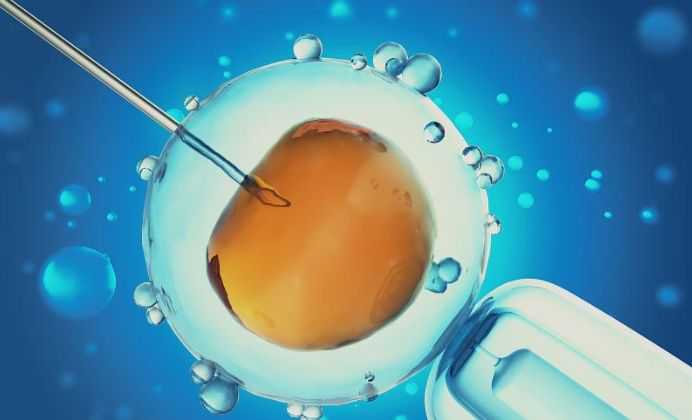 如何找试管婴儿代孕_寻找代孕患者_泰国三代试管囊胚移植步骤一般多长时间？