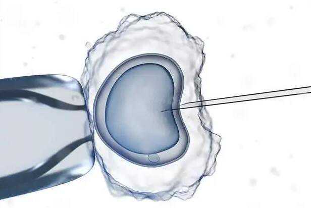 什么时候开始有代孕_代孕那个国家合法_试管囊胚等级怎么分？怎么看？